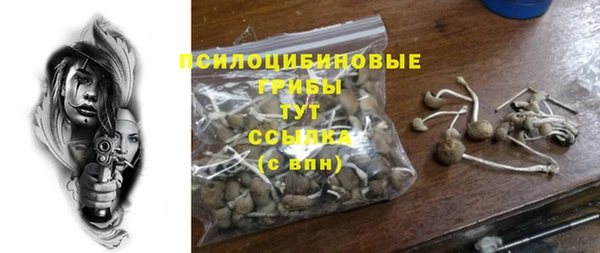 шишки Каменногорск