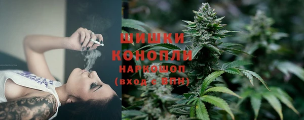 шишки Каменногорск