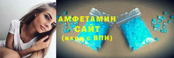 шишки Каменногорск