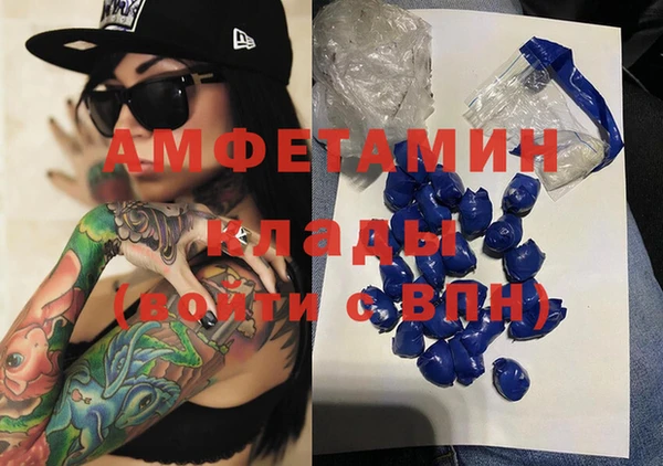 шишки Каменногорск