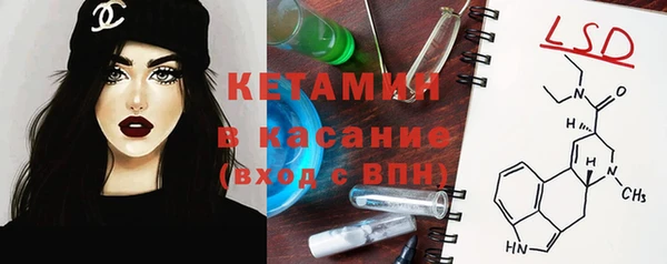 шишки Каменногорск