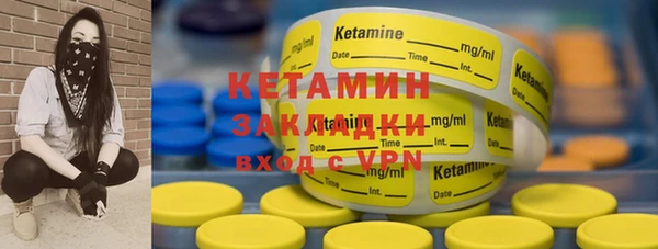 шишки Каменногорск