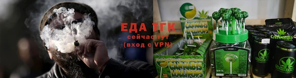 шишки Каменногорск