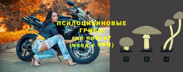 сатива Комсомольск