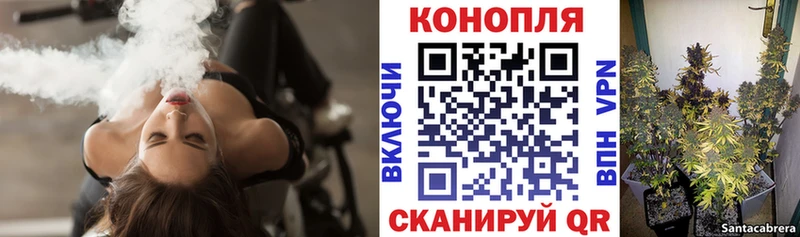 Конопля ГИДРОПОН Асино